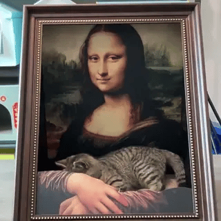 kattenbed-3d-4d-olieverf-mona-lisa-close-up-hoekaanzicht.webp